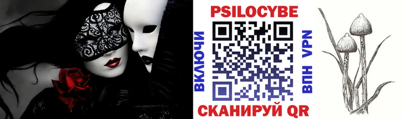 как найти наркотики  Ессентуки  Псилоцибиновые грибы Cubensis 